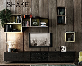 TV-композиция Модульная для гостиной Sistema 5 коллекция SHAKE