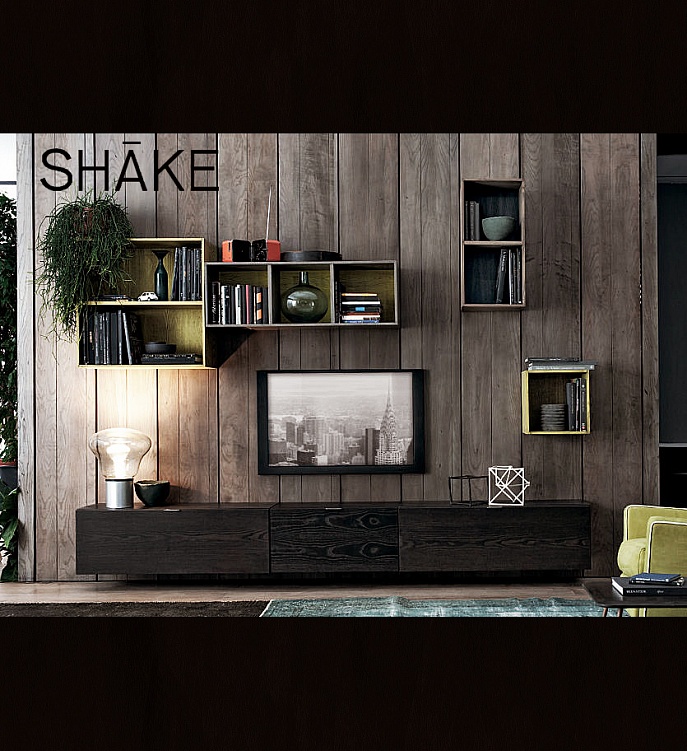 Модульная программа для гостиной Sistema 5 коллекция SHAKE купить в Москве — Салон дизайнерской итальянской мебели «Линия»